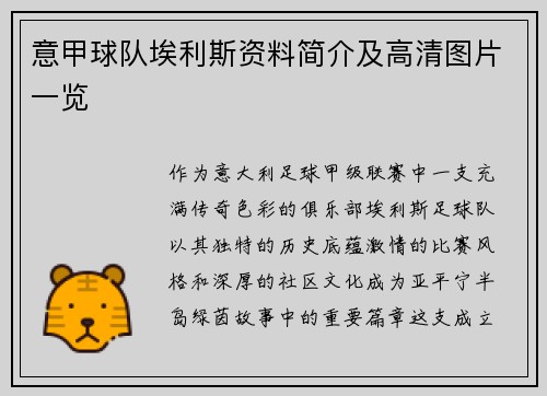 意甲球队埃利斯资料简介及高清图片一览